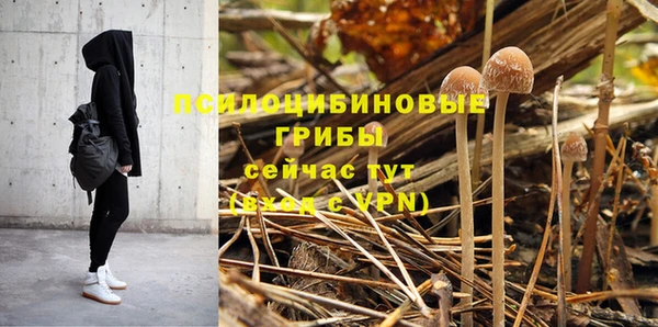 ГАЛЛЮЦИНОГЕННЫЕ ГРИБЫ Алзамай