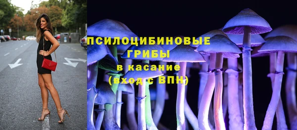 СК Алексеевка